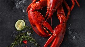 王品集團今（18）天宣布，為讓消費者聚餐「卡安心」，旗下品牌夏慕尼、西堤、藝奇、陶板屋、聚、青花驕、和牛涮、尬鍋、嚮辣，全台132家餐廳聯合推出，秀出疫苗施打證明、享優惠活動，期待提供如同在家用餐的安心感。（圖／王品提供）

