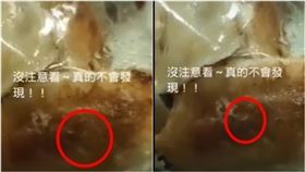煎餃有蛆（圖／翻攝自爆怨公社臉書）