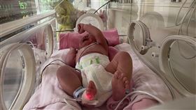 0518北榮染疫接生(台北榮總提供)