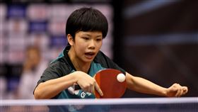 ▲桌球新星鄭樸璿在WTT青少年弗瓦迪斯瓦沃沃挑戰賽續摘下U17、U19女單冠軍。（圖／翻攝自WTT官網）
