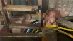 水槽,嫁妝,新北市瑞芳區,社會局,失智,獨居（圖／翻攝畫面）