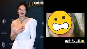 劉品言（記者邱榮吉/攝影／翻攝自臉書）