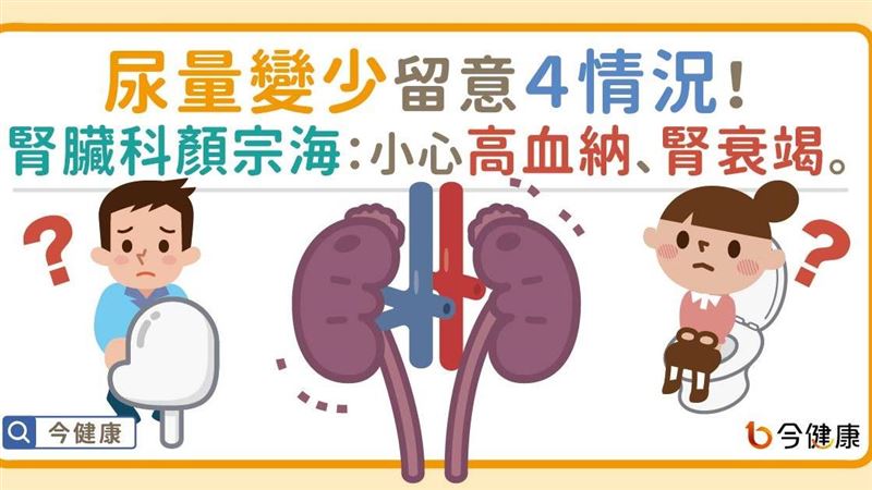 尿量變少留意４情況！醫：小心高血納
