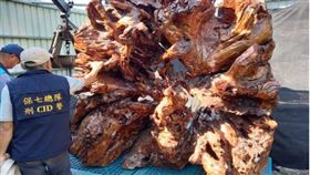 不容山老鼠破壞山林　警政署啟動全國性「滅鼠專案」，圖／翻攝畫面