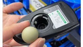 滑鼠、球（圖／翻攝自@nonnbiri_maru）