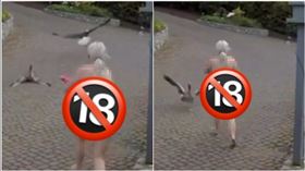 辣媽裸體戰老鷹！驚險「護鵝」監視器全拍羞了：我只穿內褲（圖／翻攝自frankythegoose抖音）