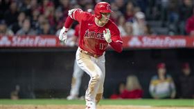 ▲大谷翔平敲出雙安，率領天使止敗。（圖／美聯社／達志影像）