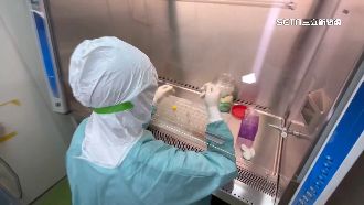 獨家／直擊P3實驗室　病毒株分析