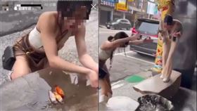  台中網美抓餐廳觀賞魚喊：要擲筊 「高高捧起丟回水缸」嘻笑片曝光網怒了。Dcard