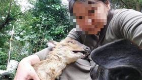 王浩宇在臉書貼出截圖發文寫道，苗栗一名女子放狗出去山上到處咬山羌，還拍成影片炫耀。（圖／翻攝字王浩宇臉書）