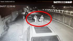 猴硐,棄養貓,動保處,新北,新北市動保處提供