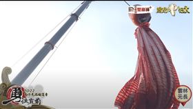 ▲緩緩吊起巨大鞭炮極為壯觀。(圖／寶島神很大)
