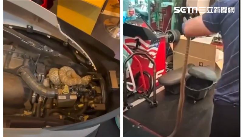 獨／機車自己催油門　1開嚇傻：有蛇