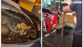 獨／機車自己催油門　1開嚇傻：有蛇
