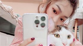 國際抱貓日。（圖/17 LIVE提供）