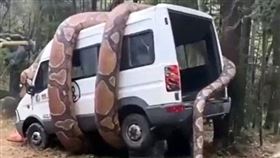 阿里山,貨車,裝置藝術,巨蟒,中國湖洲市