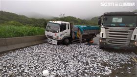 新北市，貢寮，台2線，酒精，漁獲