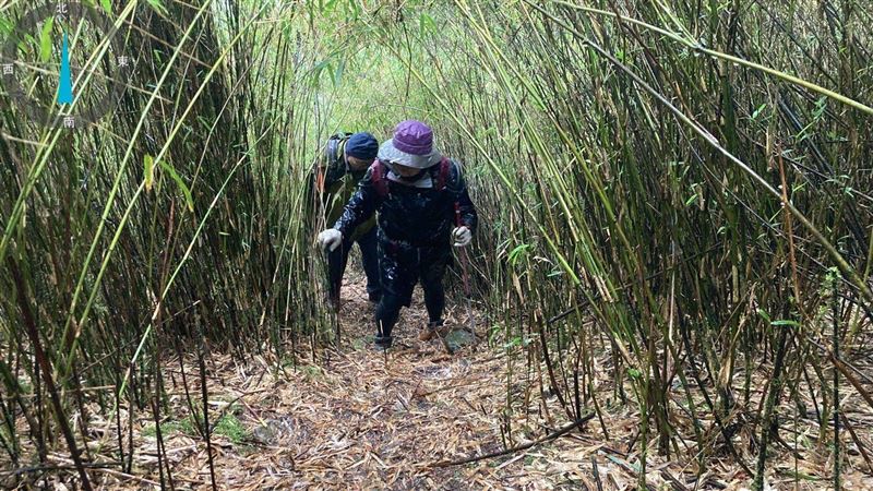 女登山慘摔2次！與隊友分散獨困無援
