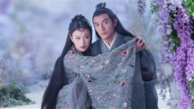 張震,倪妮。（八大提供