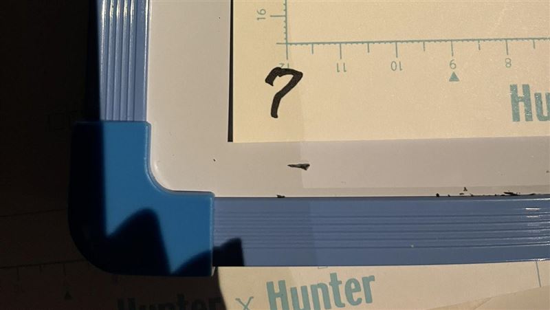 冨樫義博推特更新　6字母網友全暴動