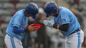 陽岱鋼（左）開季迄今出賽11場，場場都能上壘。（圖／翻攝自湖國碼頭犬推特）