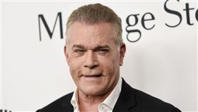 雷李歐塔（Ray Liotta）去世。（圖／美聯社／達志影像）