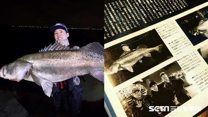 獨／釣到巨型鱸　台灣釣手紅到日本去
