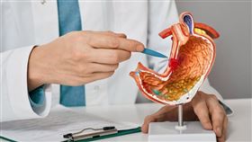 ▲臺北榮民總醫院腫瘤醫學部藥物治療科姜乃榕醫師（圖／相關單位提供）