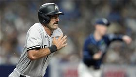 ▲紐約洋基Matt Carpenter。（圖／美聯社／達志影像）