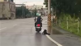 雨中拖行受傷毛孩丟棄　惡飼主抓到了！邵柏森-虎哥救援大小事