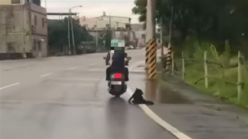 機車拖行黑狗丟棄荒野　惡飼主抓到了