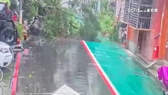 梅雨爆災情！樹倒路中間、部落設施毀