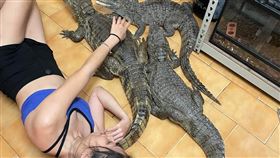 鱷魚正妹（圖／鱷鄰居&沙西米提供）