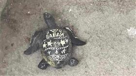 烏龜,龜屍,咒文,磁鐵,陽台(翻攝自 爆料公社一日小編)