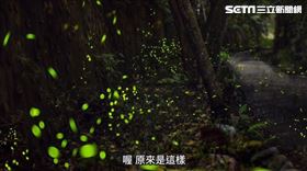 新北農業局，文山農場(業配勿用)