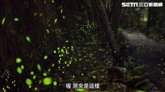 賞花、品茗、螢火蟲　文山農場這樣玩