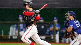 猛龍打線在把握第4局悍將先發威迪茲亂流，猛灌5分奠定勝基。（圖／味全龍提供）