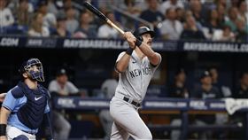 ▲紐約洋基Matt Carpenter。（圖／美聯社／達志影像）