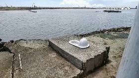 文 惡搞嘉馬桶1800