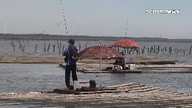 文 海釣遊辛苦1800