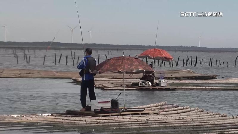 神秘海釣口耳相傳！1蚵棚1釣客