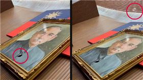 國民黨在議場亂丟寶特瓶砸中人更打破國父遺像。（圖／林楚茵辦公室提供）