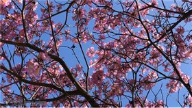 草根影響力新視野