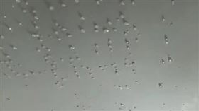 暴雨下整週！天花板冒「大片水滴」　內行曝原因：只能拆掉