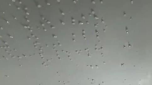 天花板狂冒水滴？內行曝原因：只能拆