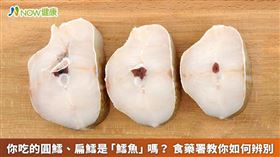 ▲食藥署表示，唯有「鱈形目」的魚種才能標示為「鱈魚」。（圖／NOW健康製作；圖片來源／ingimage）
