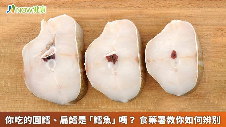 你吃的是「鱈魚」嗎？食藥署教你分辨