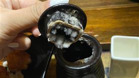 台中　居酒屋　衛生（圖／翻攝自爆料公社）