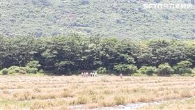 高雄,空軍,墜機,少尉,殉職