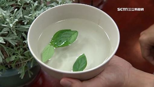 端午別只立蛋 專家曝10習俗:取水迎正能量